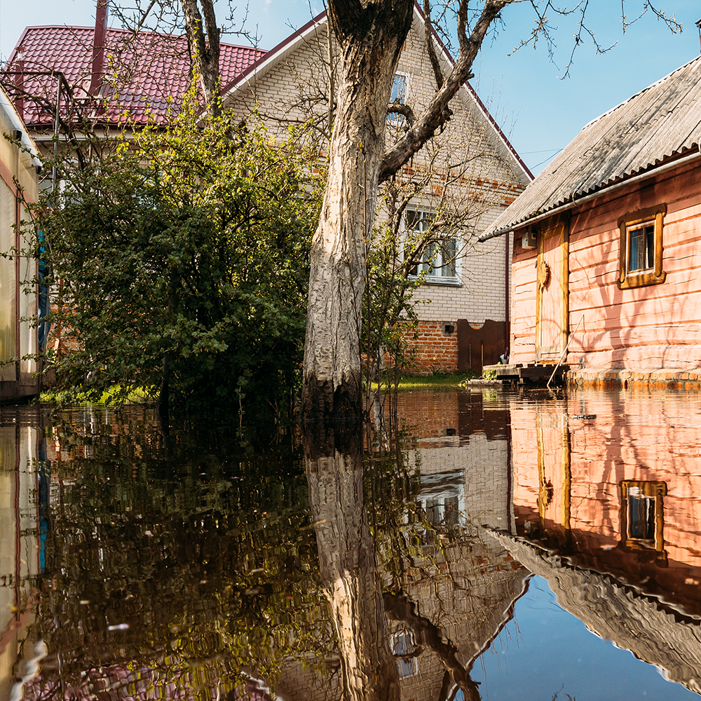 water drainage french drain
